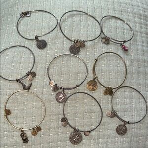 Alex and Ani Elegant Charm Bracelet Set of 9